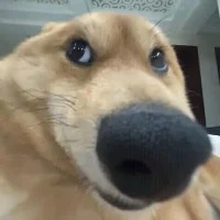 烧烤