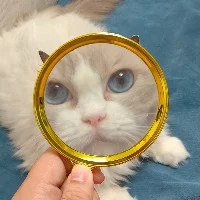 云中
