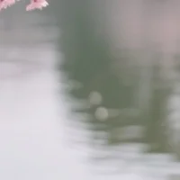 中
