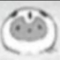 清落落落落落落